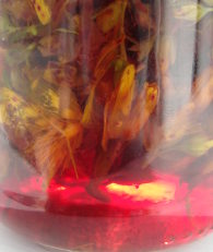 The red glow of St John's Wort tincture