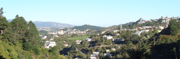 Wellington suburbs